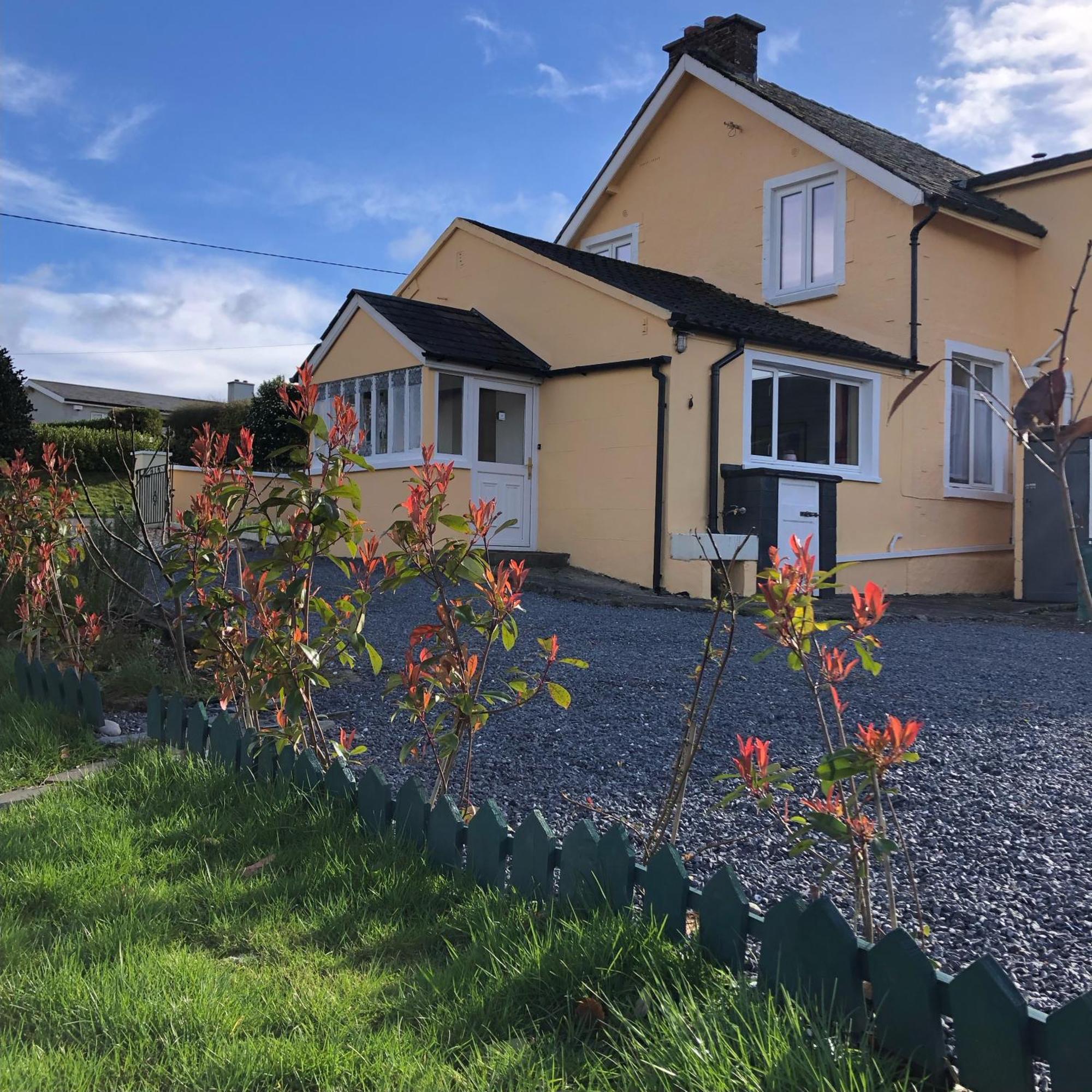 Mon Petit Cottage - B&B And House In Bunclody Exterior foto